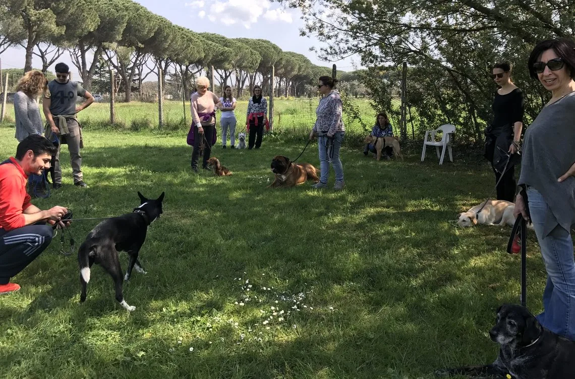 Lezione di gruppo sul prato del centro con cani e proprietari