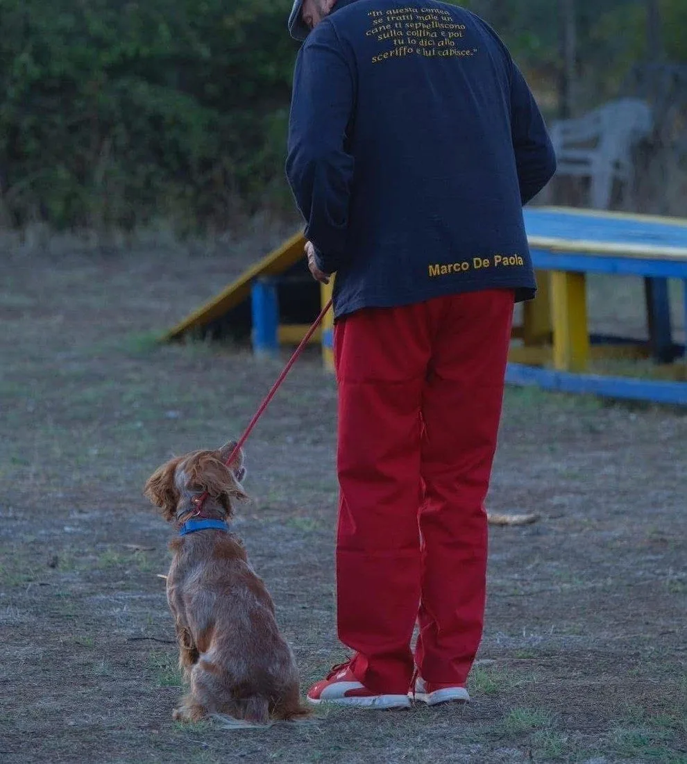 Istruttore di spalle con un cocker seduto al guinzaglio sul campo