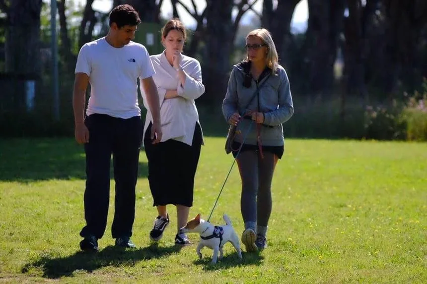 Lezione sul prato del centro con un cane al guinzaglio